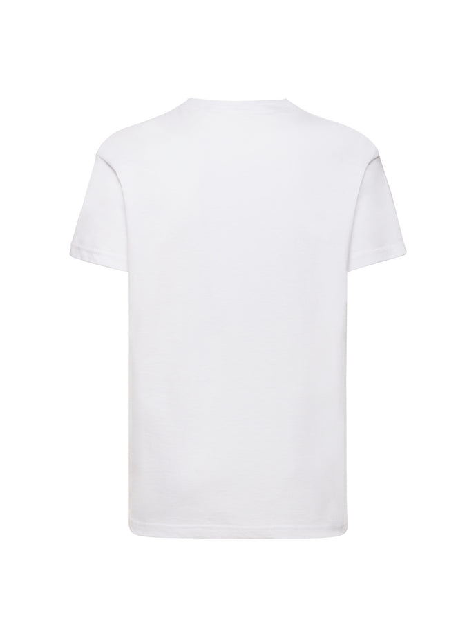SS031